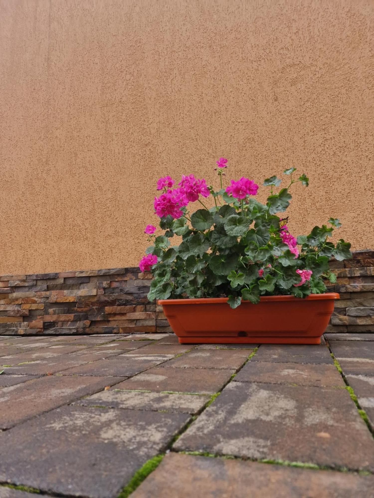 Appartamento Casa Darya-24H Check-In Bucarest Esterno foto